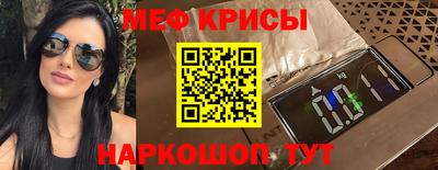 СК Новодвинск