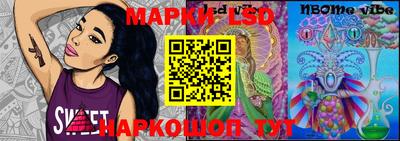 СК Новодвинск