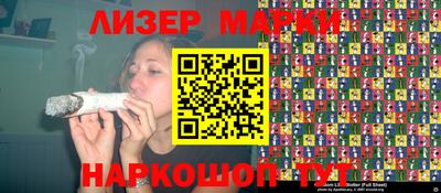 СК Новодвинск