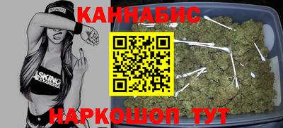 СК Новодвинск