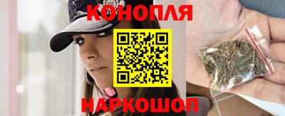 СК Новодвинск