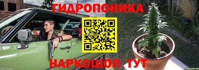 СК Новодвинск