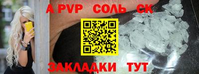 СК Новодвинск