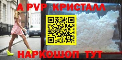 СК Новодвинск