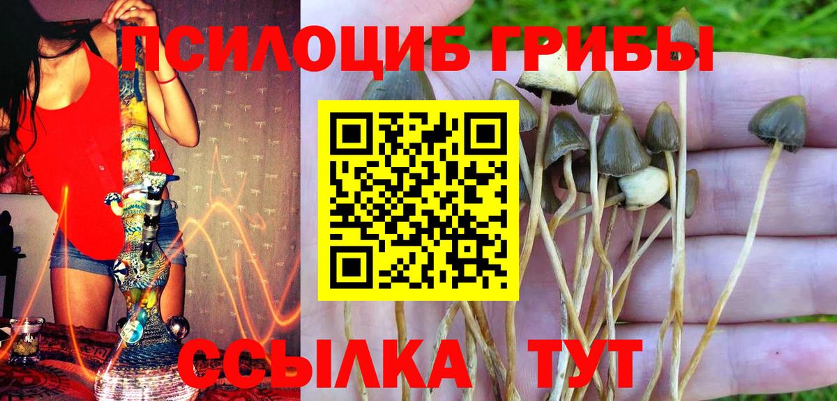 сколько стоит  Псилоцибиновые грибы прущие грибы  Галлюциногенные грибы ЛСД  Вход с VPN  Ставрополь 